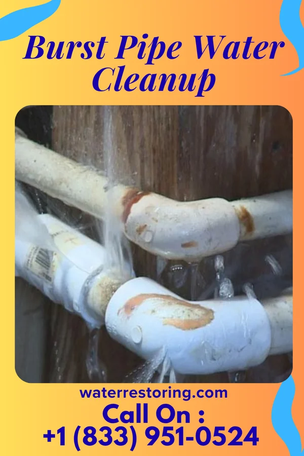 Burst Pipe Water Cleanup in North Wantagh, NY