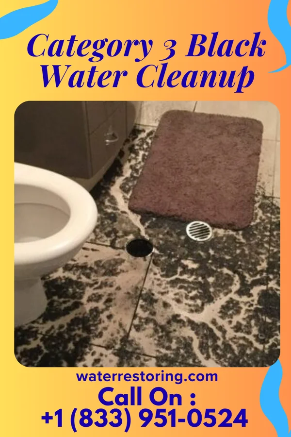 Category 3 Black Water Cleanup in North Wantagh, NY