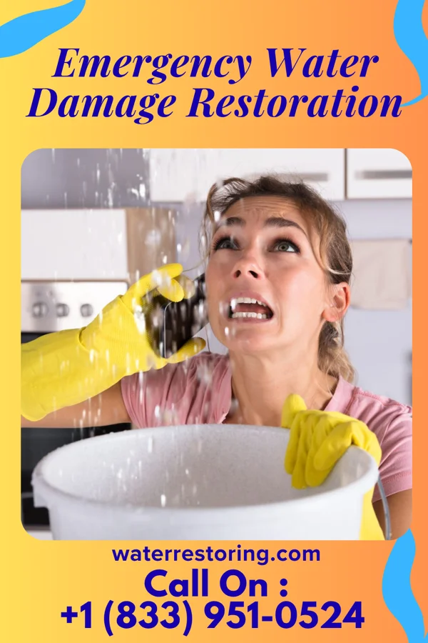 Emergency Water Damage Restoration in North Wantagh, NY