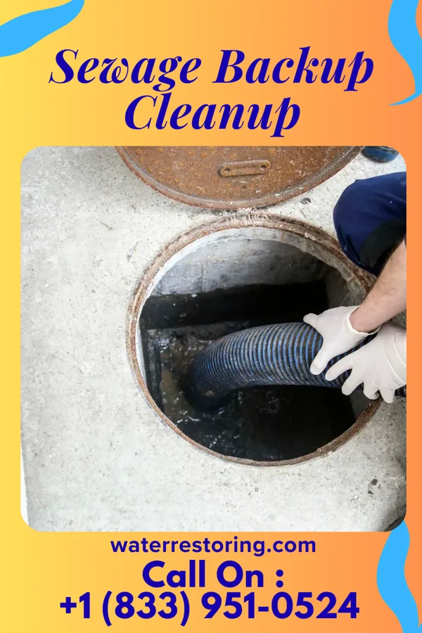 Sewage Backup Cleanup in North Wantagh, NY